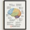 Macrophage Immune Response Poster, Framed Medical Science Wall Art