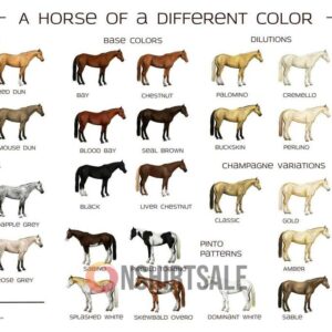 Horse Color Guide Poster Comprehensive Chart of Horse Coat Colors and Patterns