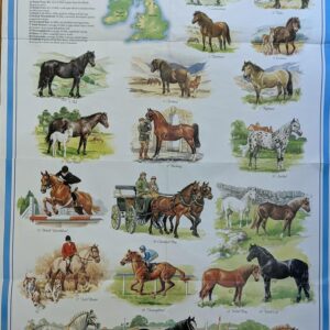 Horses And Ponies of the British Isles Poster, Illustrated Guide to British Horse Breeds