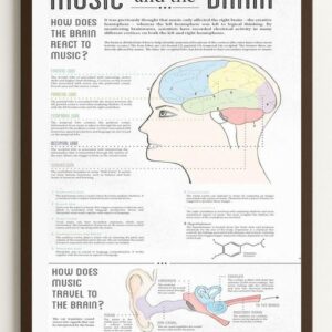 Music and the Brain Educational Poster, Framed Neuroscience and Music Infographic Wall Art