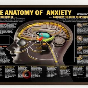 The Anatomy of Anxiety Poster, Framed Brain Science and Mental Health Wall Art