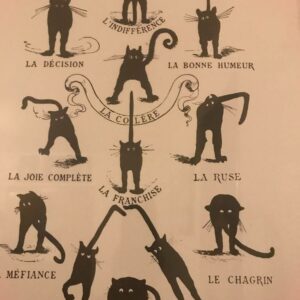 The Domestic Cat and Its Character Poster, Guide to Cat Personalities in French