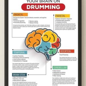 Your Brain On Drumming Poster Educational Wall Art About Brain Function And Music 3
