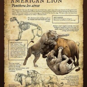 American Lion Poster, Prehistoric Panthera leo atrox with Skeleton and Facts