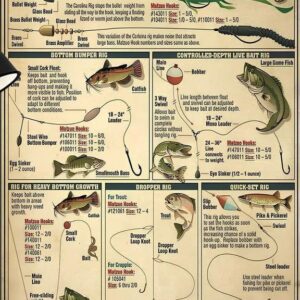 Bait Rigging Knowledge Poster , Freshwater Fish Fishing Techniques and Rigs Guide