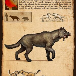 Bone Crushing Dog Poster, Extinct Epicynon Haydeni Prehistoric Canid Wall Art, Educational Paleontology Print