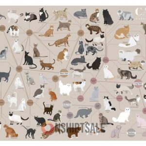 Cat Breeds Chart Poster, Categorized Cat Types Guide, Educational Wall Art for Cat Lovers And Vets