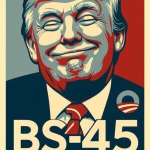 Donald Trump Parody Poster, BS-45 Satirical Political Art in Obama Hope Style