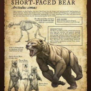 Missouri Is Monster Short Faced Bear Poster, Guide to Arctodus Simus, Prehistoric Apex Predator
