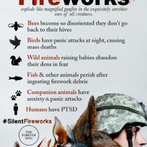 Silent Fireworks Awareness Poster, Impact of Fireworks on Animals &Humans, PTSD & Pet Anxiety Educational Print