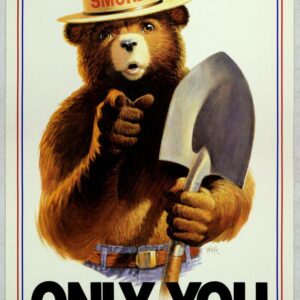 Smokey Bear Poster, Only You Can Prevent Forest Fires with Classic Smokey the Bear Artwork