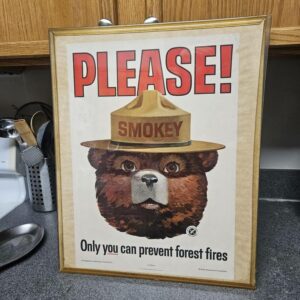 Smokey the Bear 1964 Vintage Poster ,Only You Can Prevent Forest Fires Fire Safety Campaign