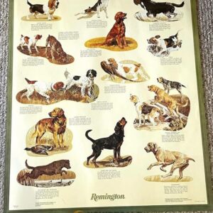 Vintage Remington Know Your Hunting Dogs Poster, Dog Breeds Wall Art for Hunters and Collectors