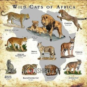 Wild Cats of Africa Poster, African Feline Species Map, Educational Animal Wall Art for Classrooms & Cat Lovers