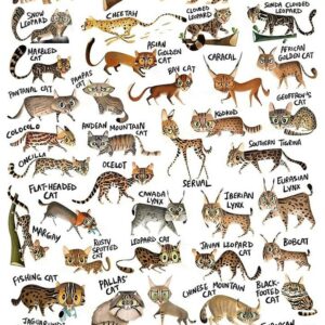 Wild Cats of the World Poster, Big Cat & Small Cat Species Chart, Educational Animal Wall Art for Kids & Cat Lovers