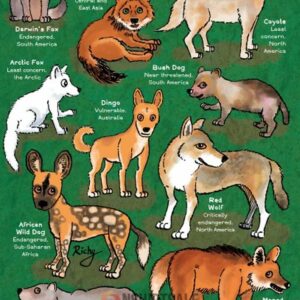Wild Dogs Educational Poster, Endangered Canine Species Chart